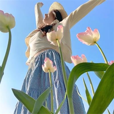 第3朵玫瑰